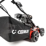 Kosz 45 l wertykulatora spalinowego Cedrus WR01